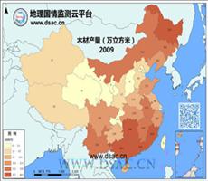 2009年木材产量