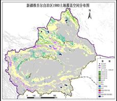新疆维吾尔族自治区土地覆盖数据服务