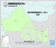 2006年养老基金收入