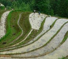 全国分坡度耕地数据服务