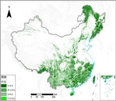 林地分布数据_2015年_30m栅格