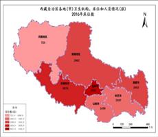 西藏自治区卫生医疗数据