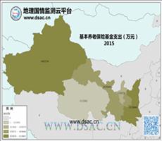 西北养老保险基金支出10年数据目录