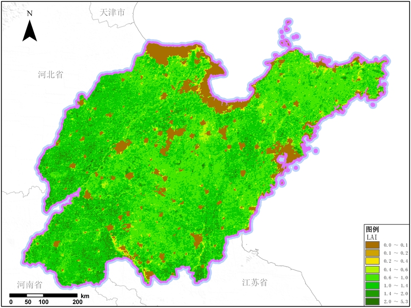 山东省叶面积指数