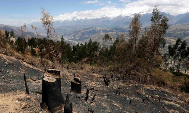 秘鲁安卡斯省安第斯地区一个村落中的树木被砍光