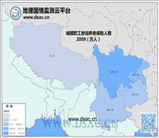 2009年西南城镇职工养老保险人数