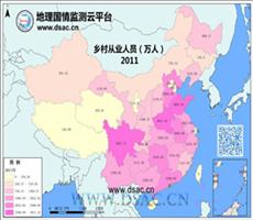2011年乡村从业人员