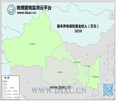 2010年养老基金收入