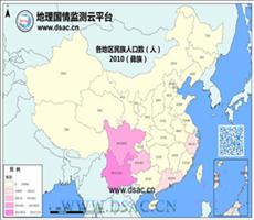 2010年民族分布（彝族）