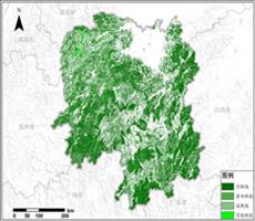 湖南省林地资源空间分布数据服务