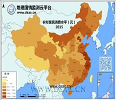 2015年农村居民消费水平