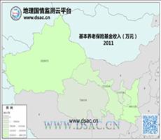 2011年养老基金收入