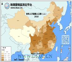 2010年老年人不健康人口数