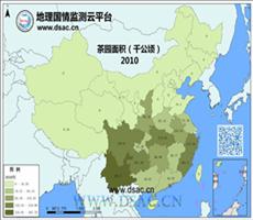 2010年茶园面积