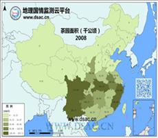 2008年茶园面积