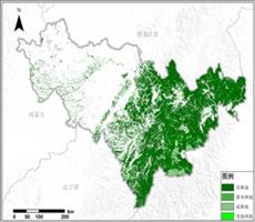 吉林省林地资源空间分布数据服务
