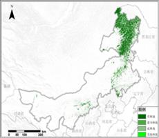 内蒙自治区古林地资源空间分布数据服务