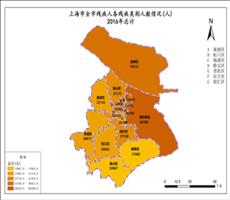 上海市2016年总计（市残疾人各残疾类别人数情况）