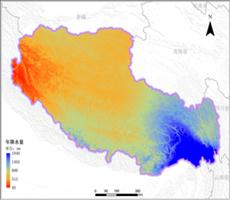 西藏年降雨量空间分布数据