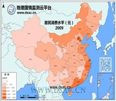 2009年居民消费水平