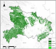 湖北省林地资源空间分布数据服务