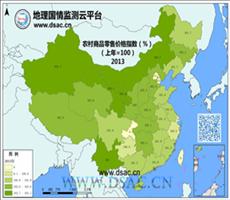 2013年农村商品零售价格指数
