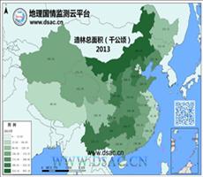 2013年造林总面积