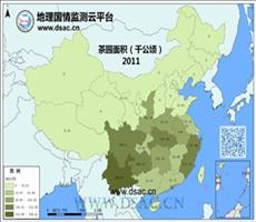 2011年茶园面积