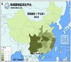 2014年茶园面积