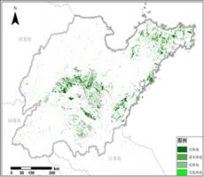 山东省林地资源空间分布数据服务