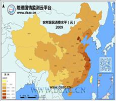 2009年农村居民消费水平
