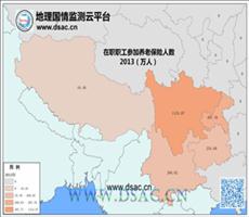 2013年西南在职职工养老保险人数