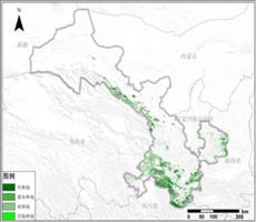 甘肃省林地资源空间分布数据服务
