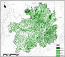 贵州省林地资源空间分布数据服务