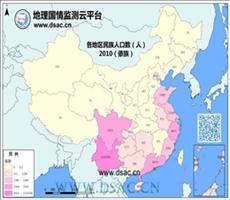 2010年民族分布（傣族）