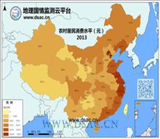 2013年农村居民消费水平
