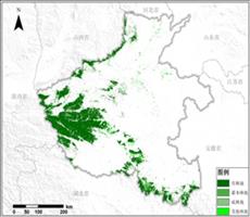 河南省林地资源空间分布数据服务