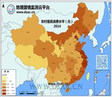 2014年农村居民消费水平