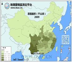 2009年茶园面积