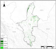 宁夏回族自治区林地资源空间分布数据服务