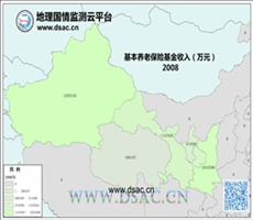 2008年养老基金收入