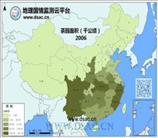 2006年茶园面积