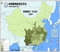 2007年茶园面积