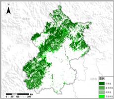 北京市林地资源空间分布数据服务