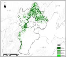 河北省林地资源空间分布数据服务