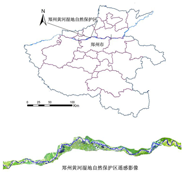 基于GIS和RS的郑州黄河湿地生态健康评价