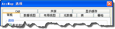 设置 ArcMap 选项