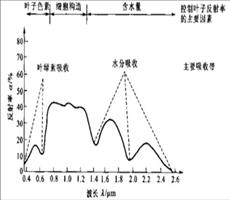 植被遥感
