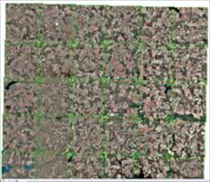 ArcGIS 栅格数据学习教程5：对镶嵌数据集进行色彩平衡