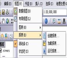 ArcGIS教程：报表快速浏览